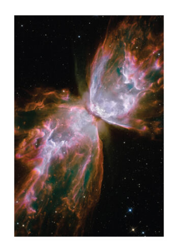 Poster Hubbleteleskop - Rosette aus Gasen und Staub Poster 1