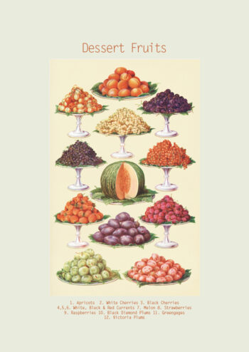 Poster Nachtischfrüchte - Dessert Fruits Poster 1
