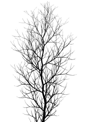- Kubistika PosterThe Tree - Kubistika Poster 1