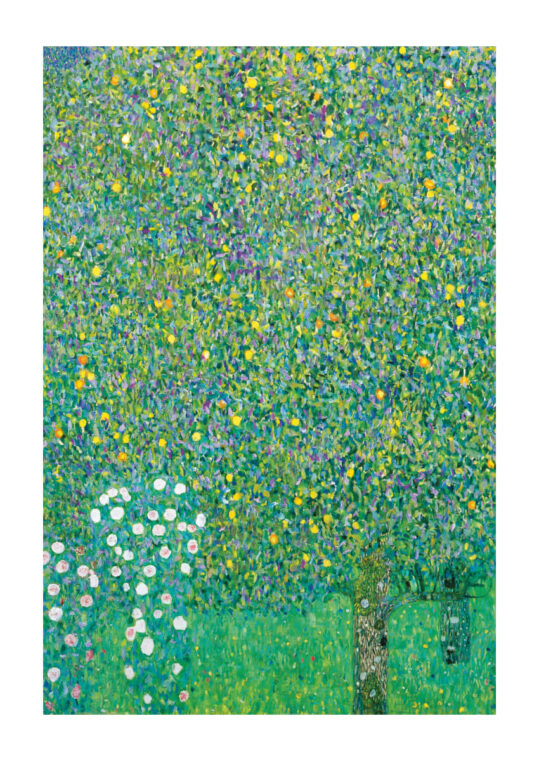 Poster Klimt Rosen unter Bäumen 1904 Poster 1