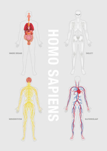 Poster Homo Sapiens Poster 1