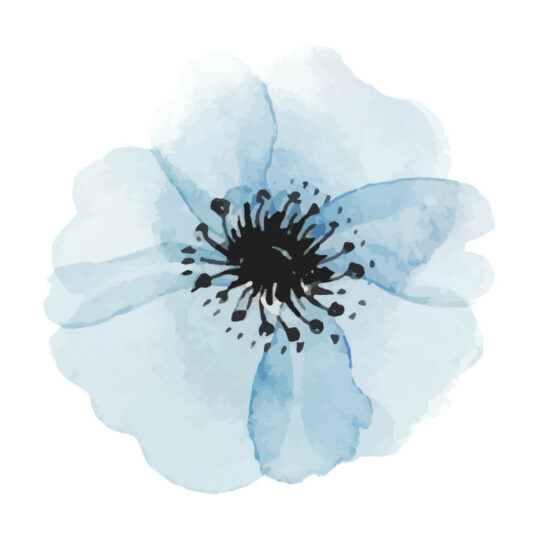 Poster Blaue Blume Wasserfarben Poster 3