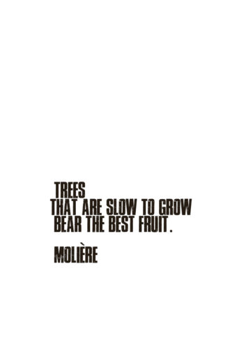 Poster Trees that are slow to grow... Poster 1